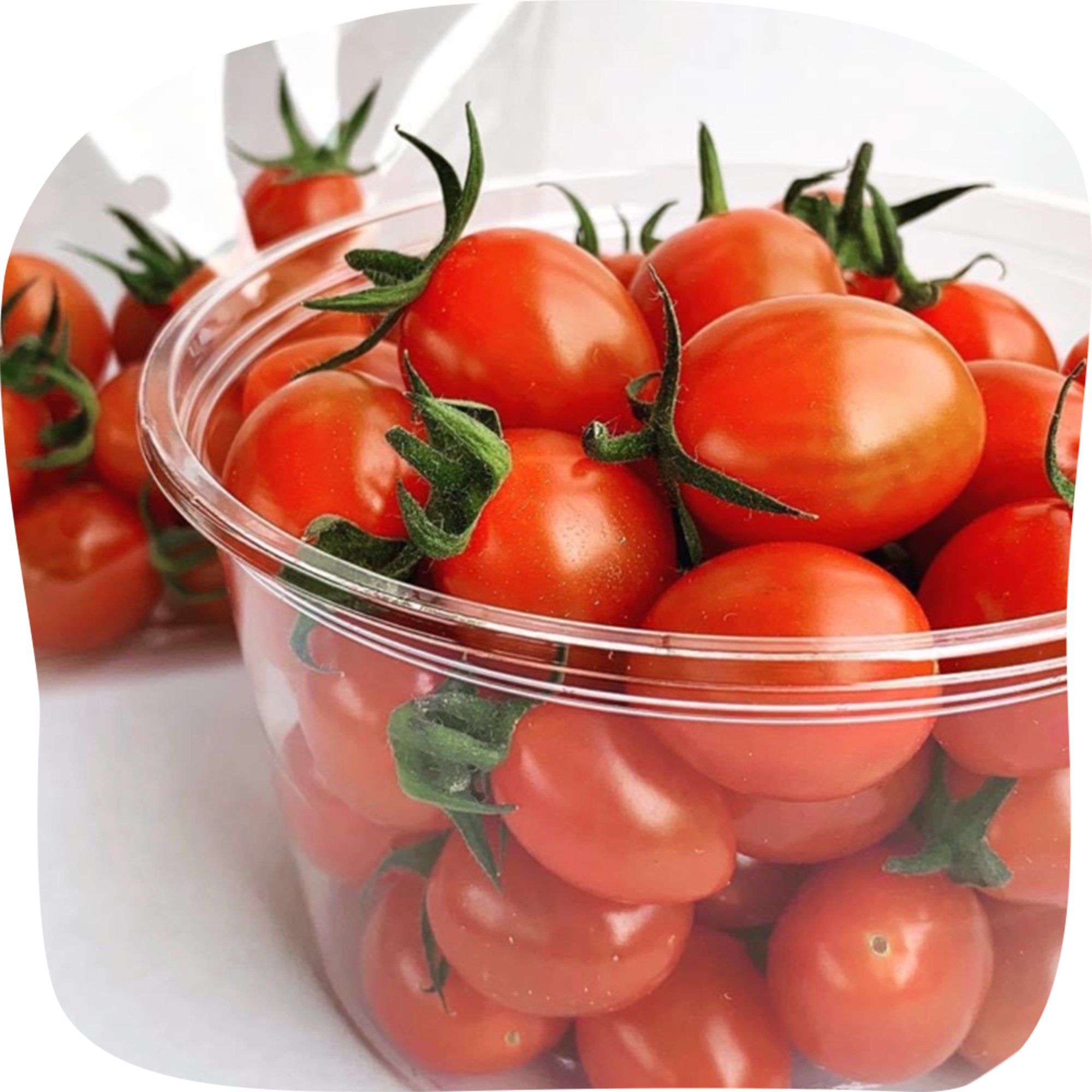 子供が積木で遊ぶ写真