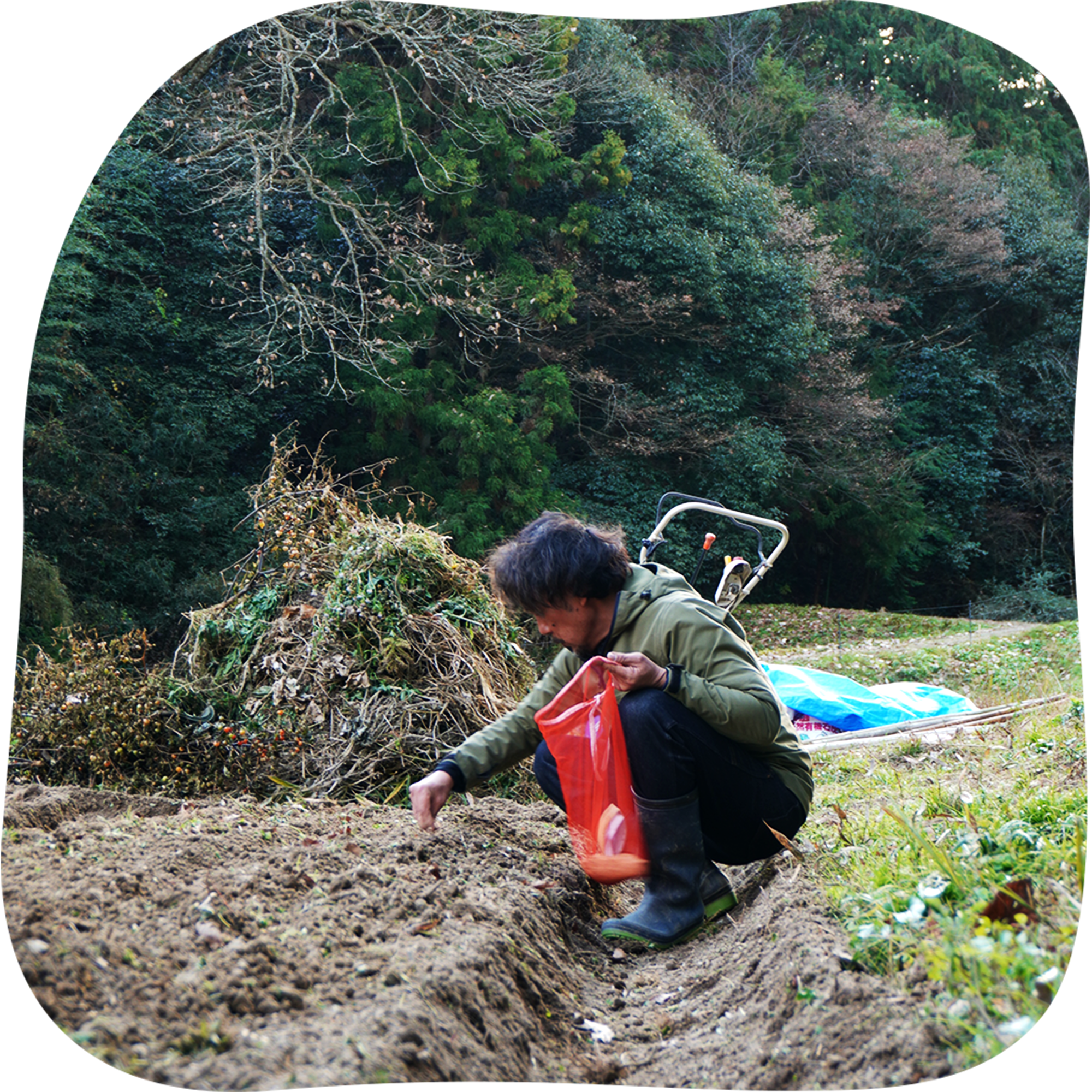 子供が積木で遊ぶ写真