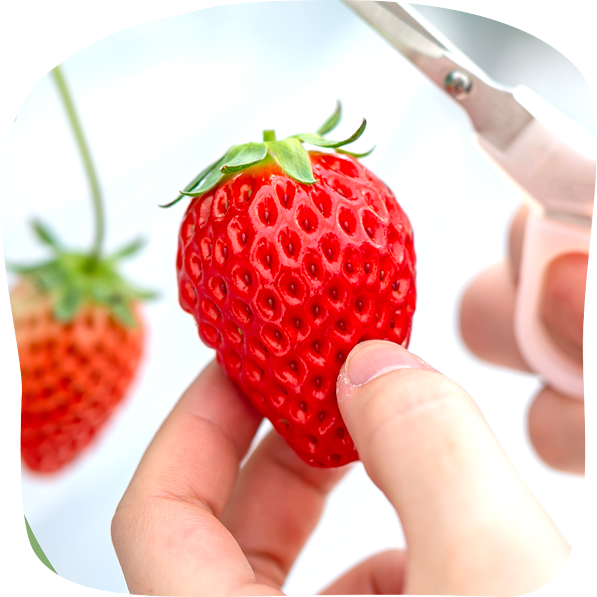 子供が積木で遊ぶ写真