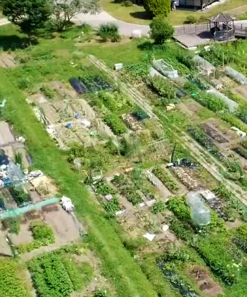 風キャビン農園の写真