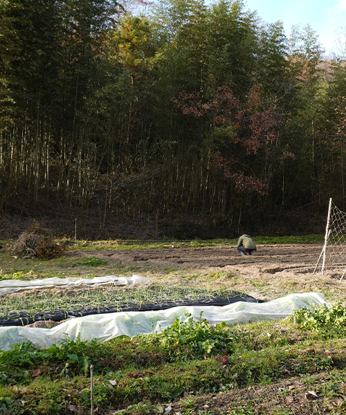 大衆園藝団やまとたの写真
