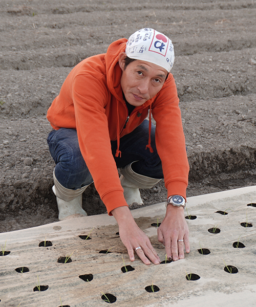 火土水の畑の写真